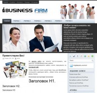 BusinessFirm