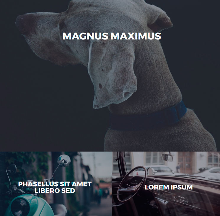 Magnus WordPress шаблон