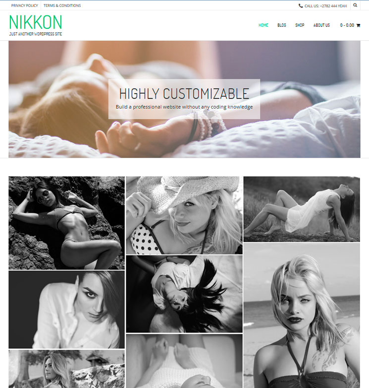Nikkon WordPress шаблон